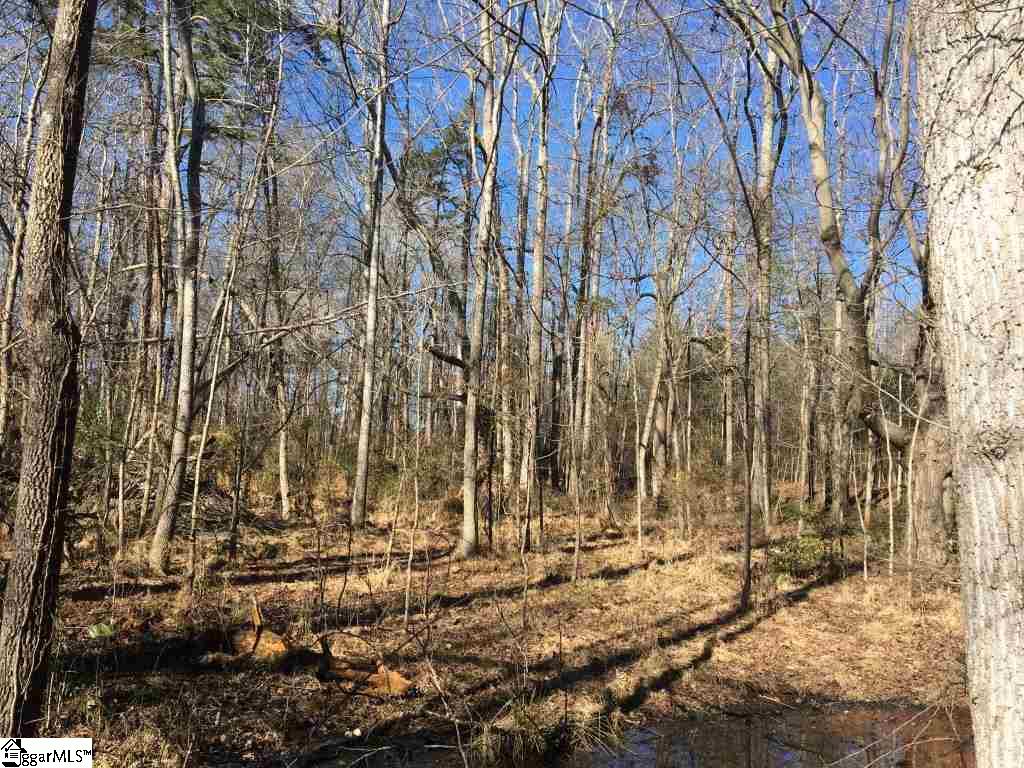 0 Calvery Road Inman, SC 29349 - Photo 19 of 32