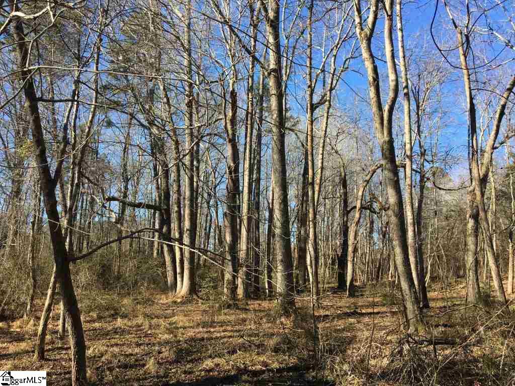 0 Calvery Road Inman, SC 29349 - Photo 20 of 32