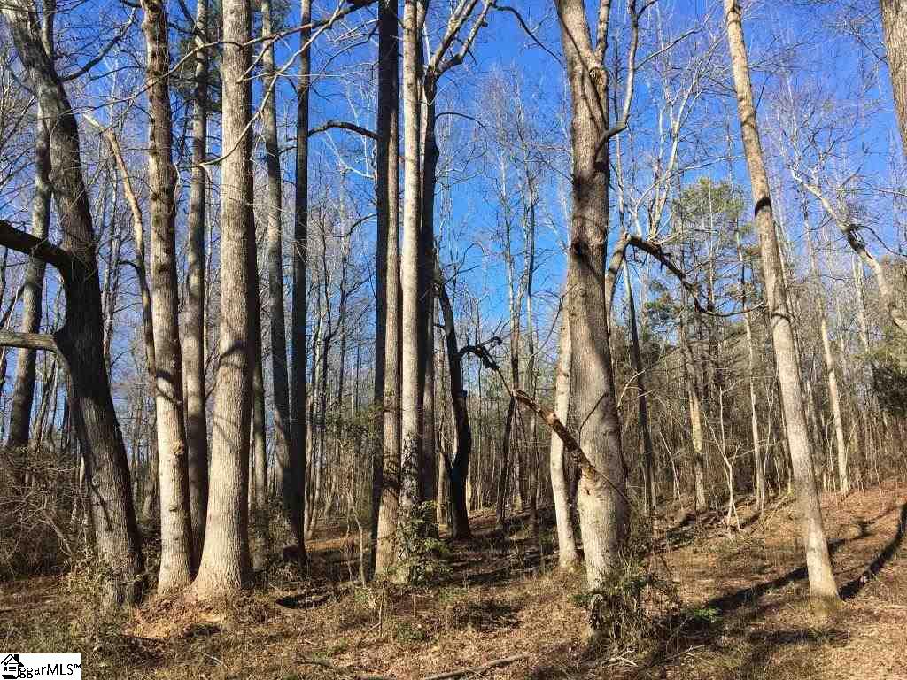 0 Calvery Road Inman, SC 29349 - Photo 21 of 32