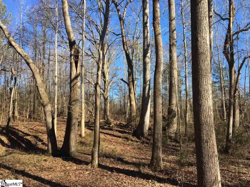 0 Calvery Road Inman, SC 29349 - Photo 22 of 32