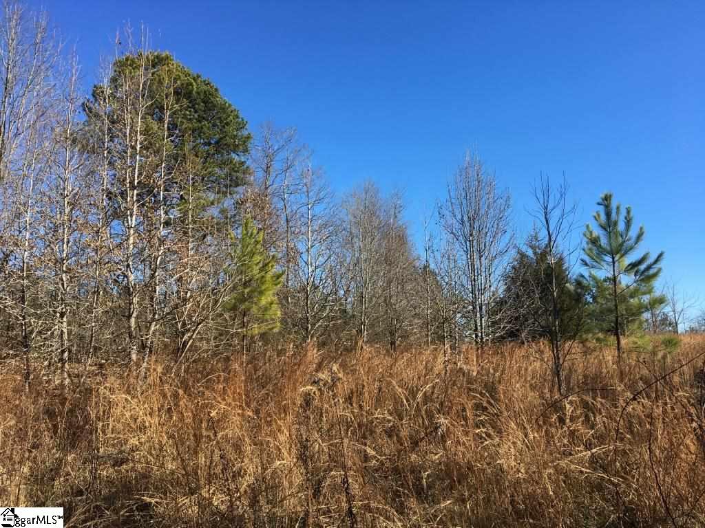 0 Calvery Road Inman, SC 29349 - Photo 23 of 32