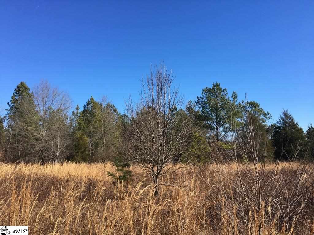 0 Calvery Road Inman, SC 29349 - Photo 24 of 32