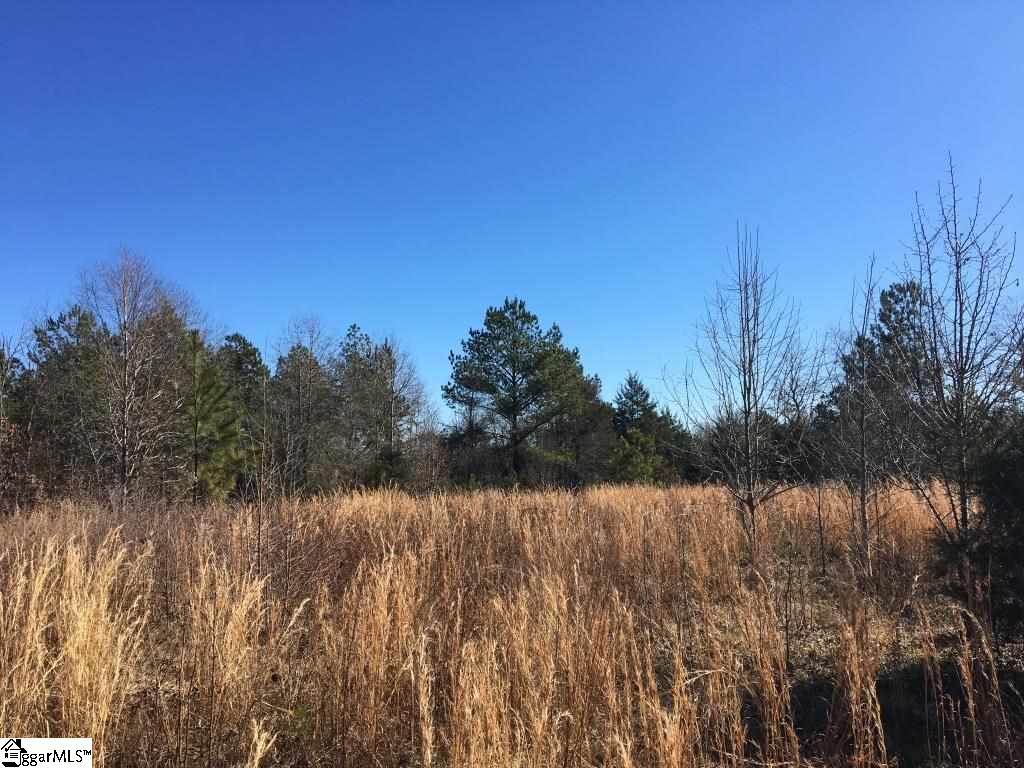 0 Calvery Road Inman, SC 29349 - Photo 25 of 32