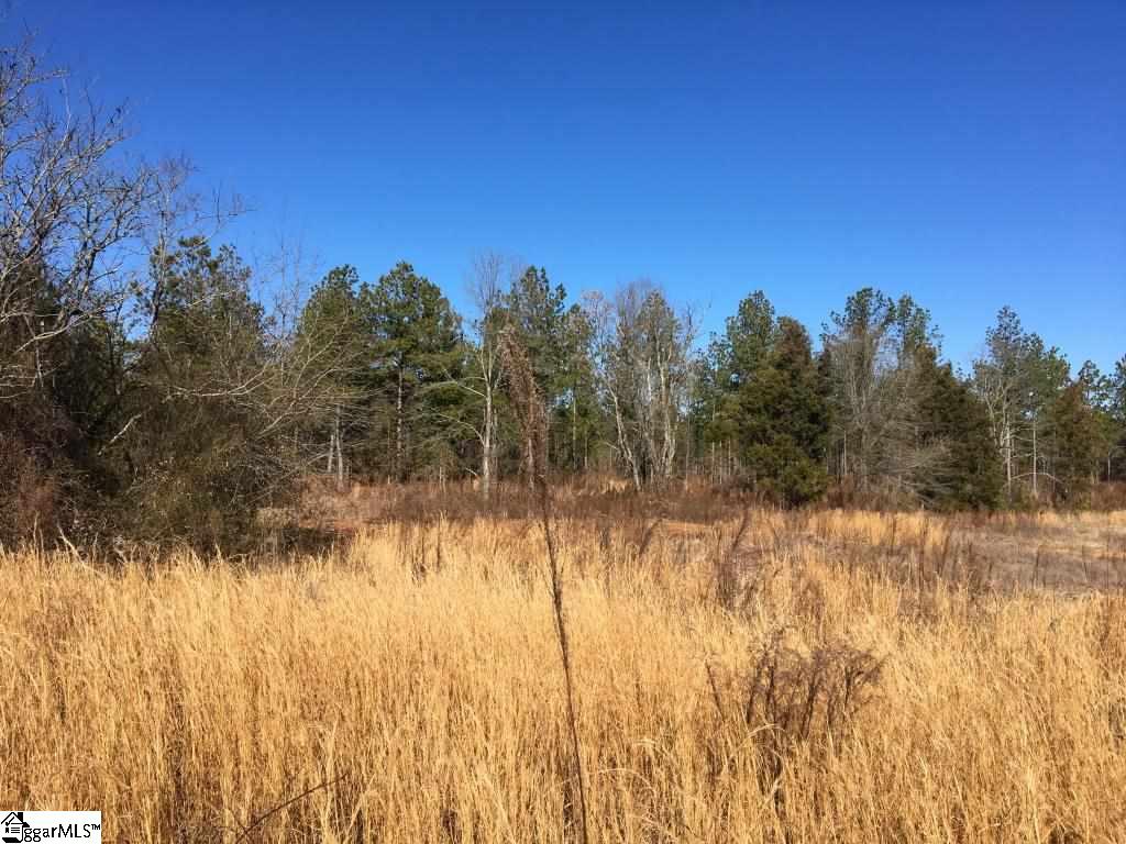 0 Calvery Road Inman, SC 29349 - Photo 26 of 32