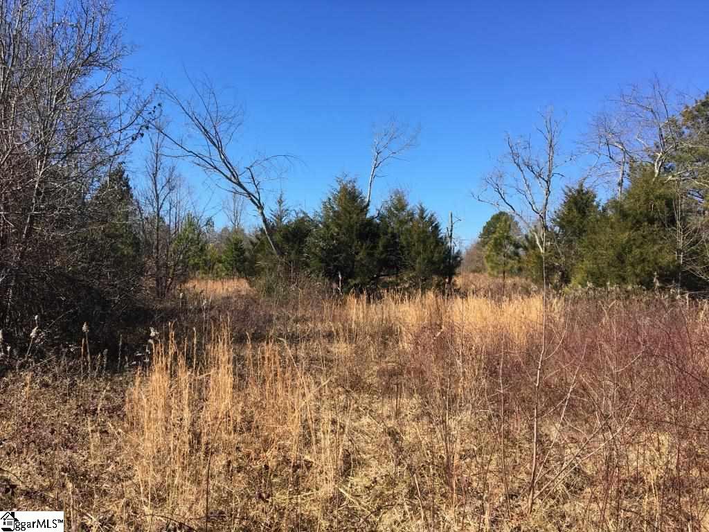 0 Calvery Road Inman, SC 29349 - Photo 27 of 32
