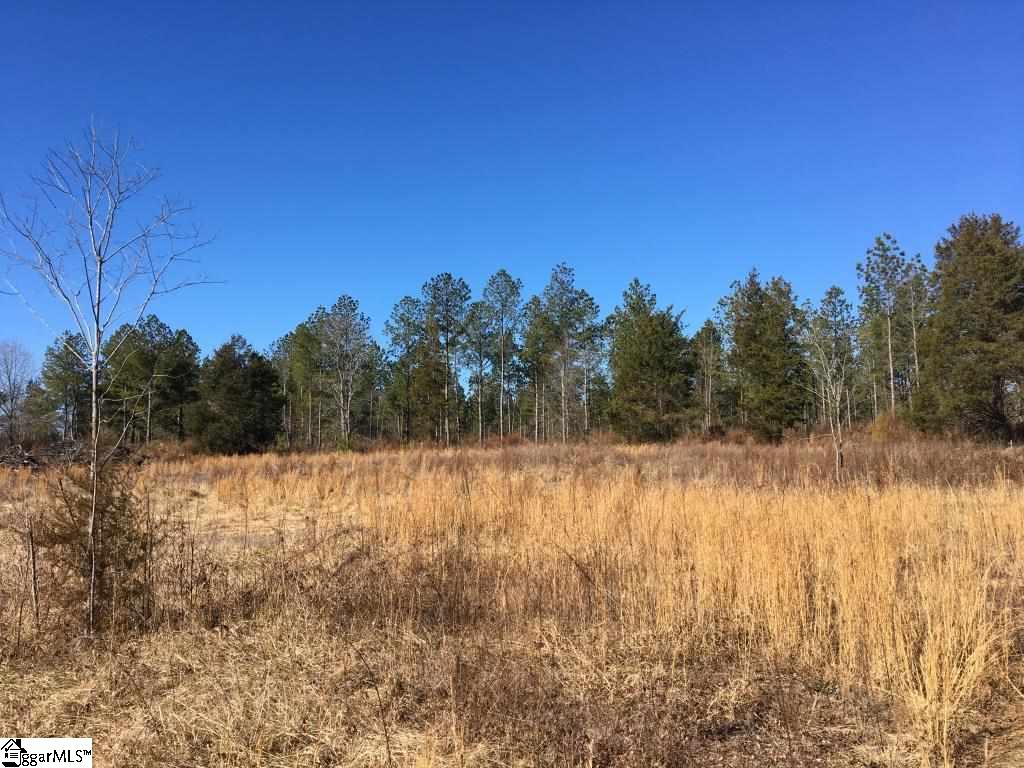 0 Calvery Road Inman, SC 29349 - Photo 29 of 32