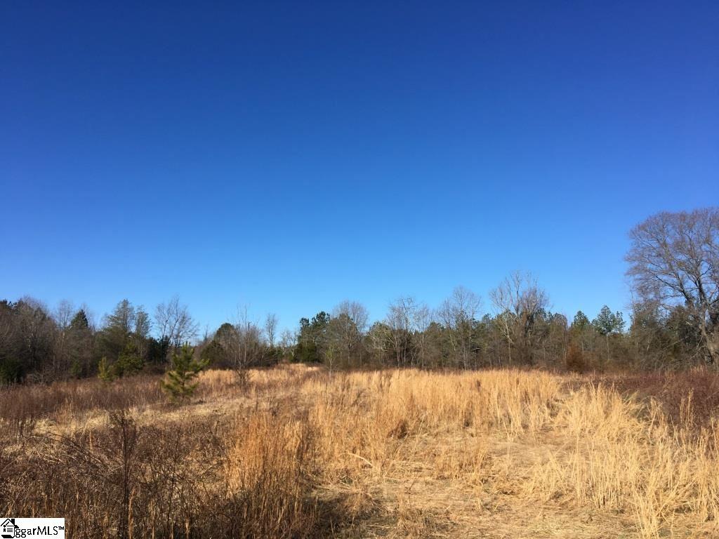 0 Calvery Road Inman, SC 29349 - Photo 4 of 32