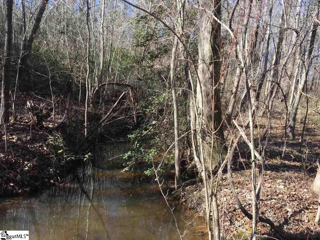 0 Calvery Road Inman, SC 29349 - Photo 7 of 32