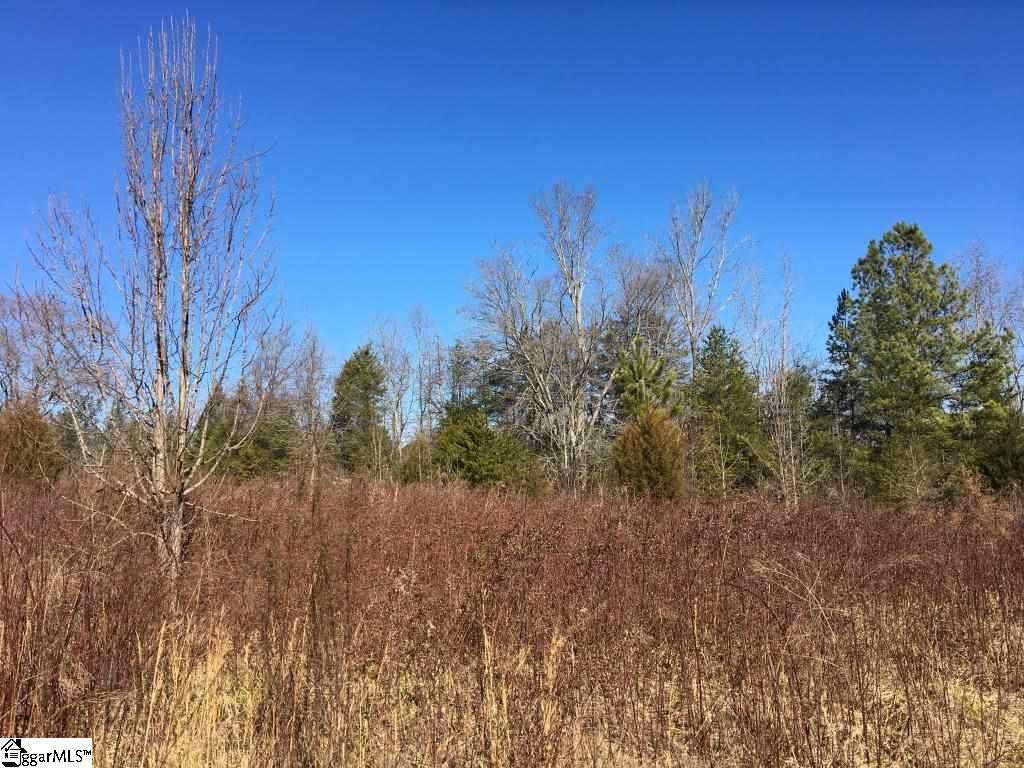 0 Calvery Road Inman, SC 29349 - Photo 8 of 32