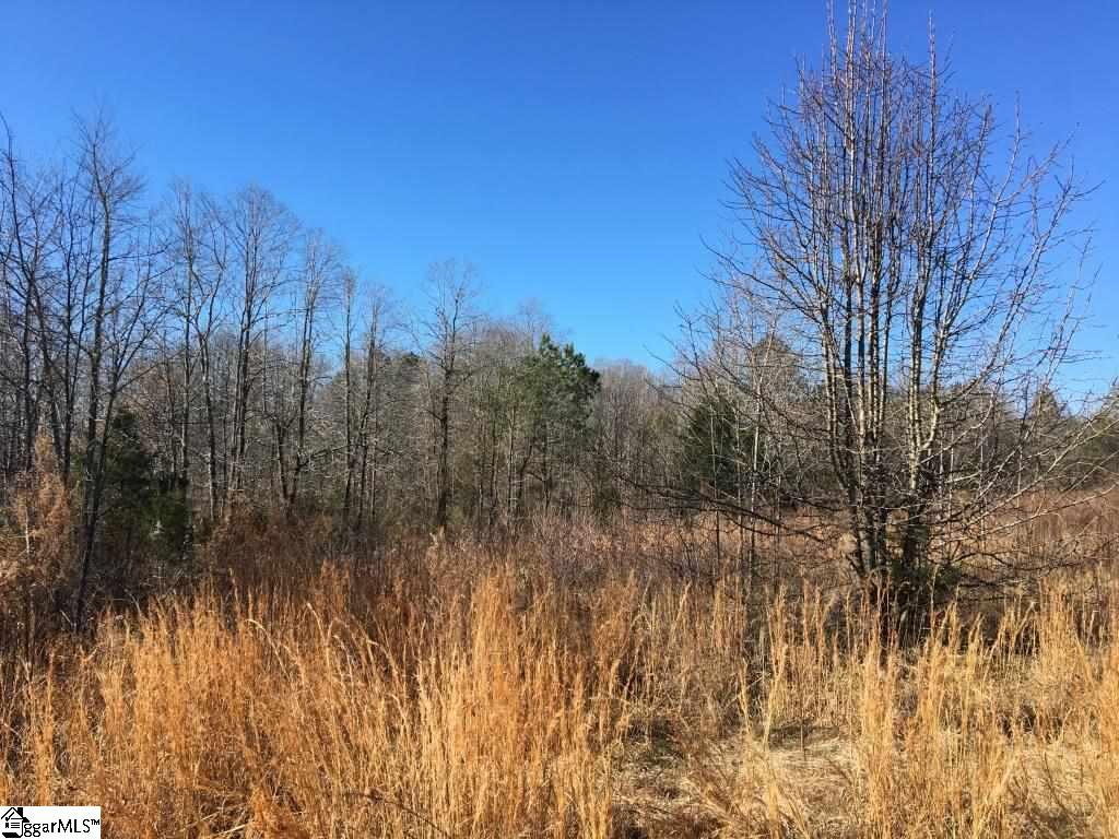 0 Calvery Road Inman, SC 29349 - Photo 9 of 32