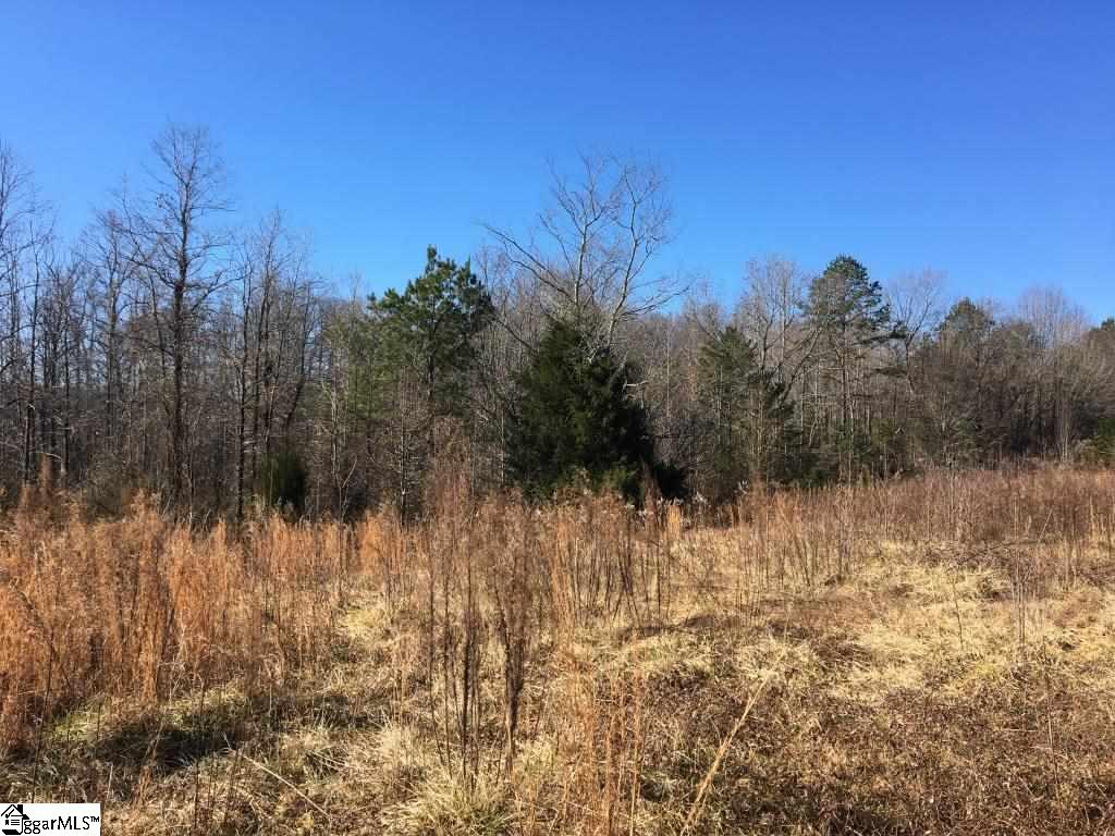 0 Calvery Road Inman, SC 29349 - Photo 10 of 32