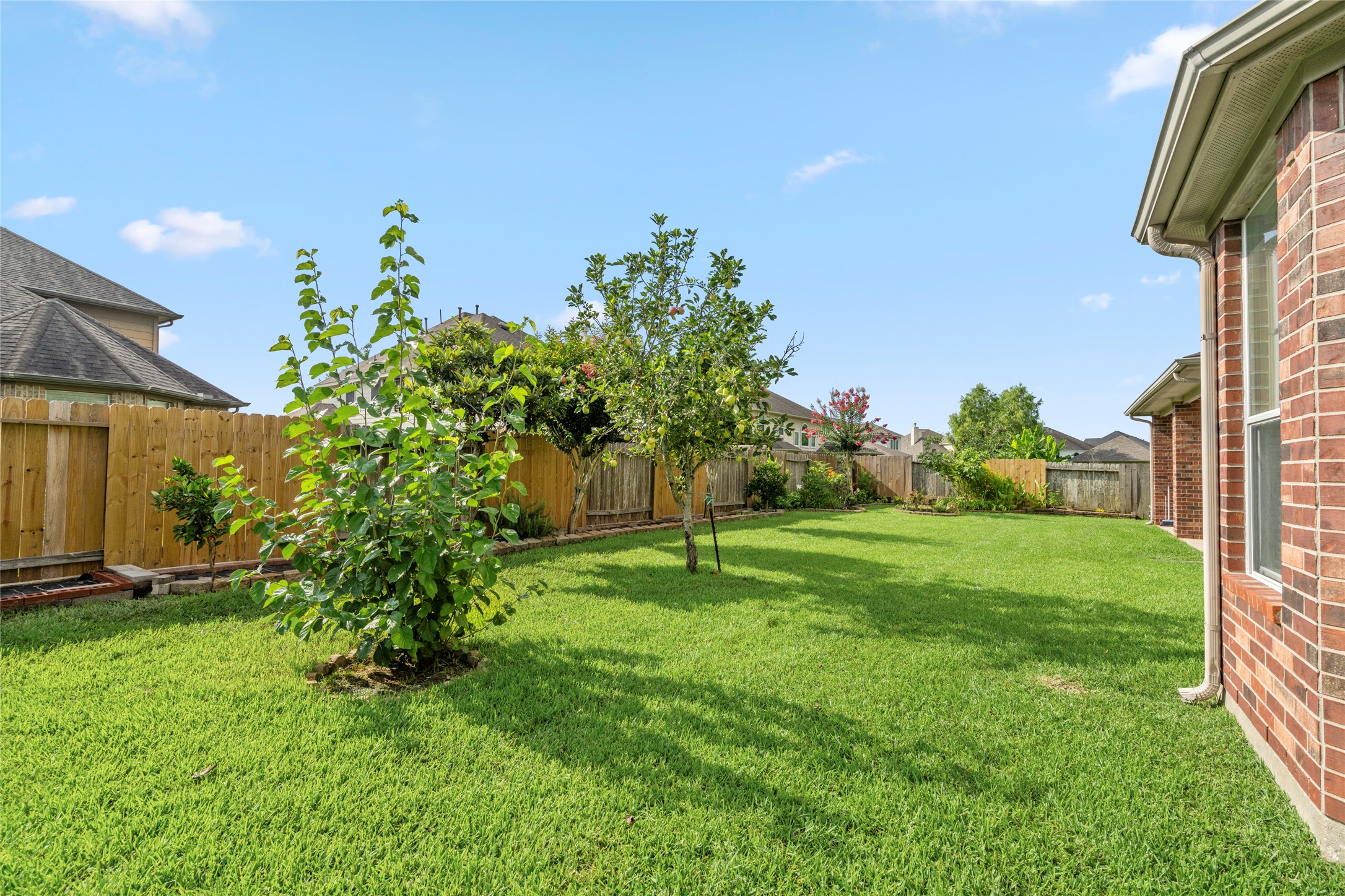 5307 Amber Sky Lane Rosharon, TX 77583 - Photo 47 of 50 A peaceful, fruit-tree-dotted lawn provides the ideal backdrop for outdoor gatherings, gardening, or quiet relaxation in this private retreat.