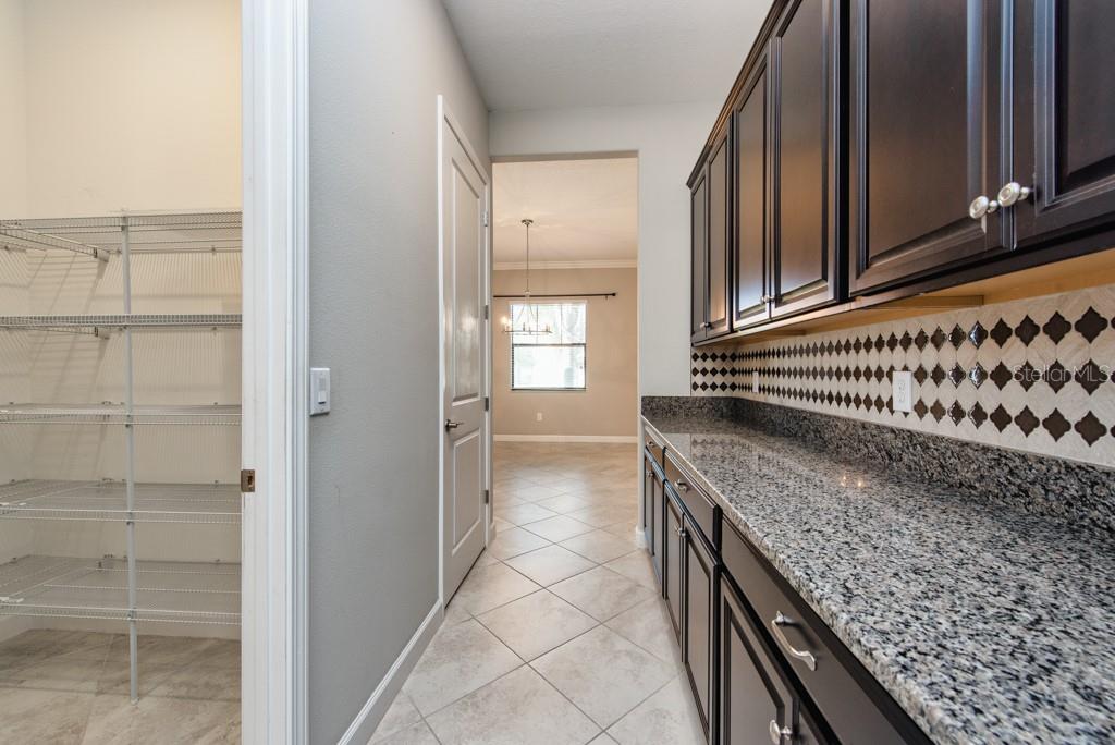 13315 Orca Sound Drive Riverview, FL 33579 - Photo 11 of 52 a kitchen with granite countertop a sink and cabinets