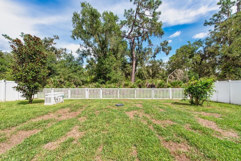 13315 Orca Sound Drive Riverview, FL 33579 - Photo 34 of 52 a view of an outdoor space and a yard