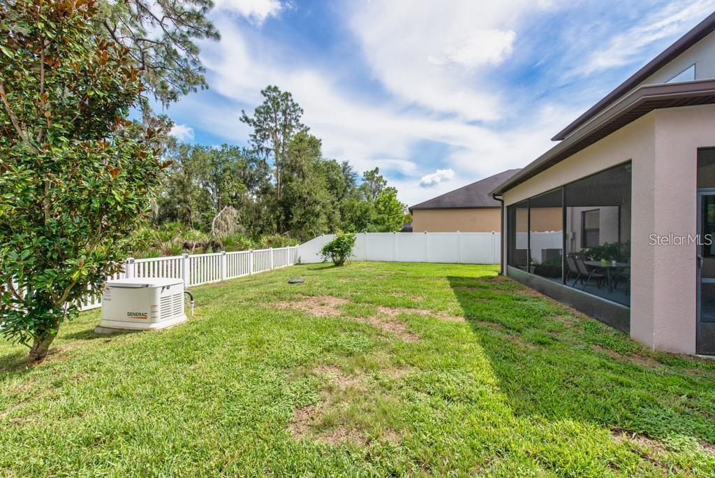 13315 Orca Sound Drive Riverview, FL 33579 - Photo 35 of 52 a view of a backyard with large trees and plants
