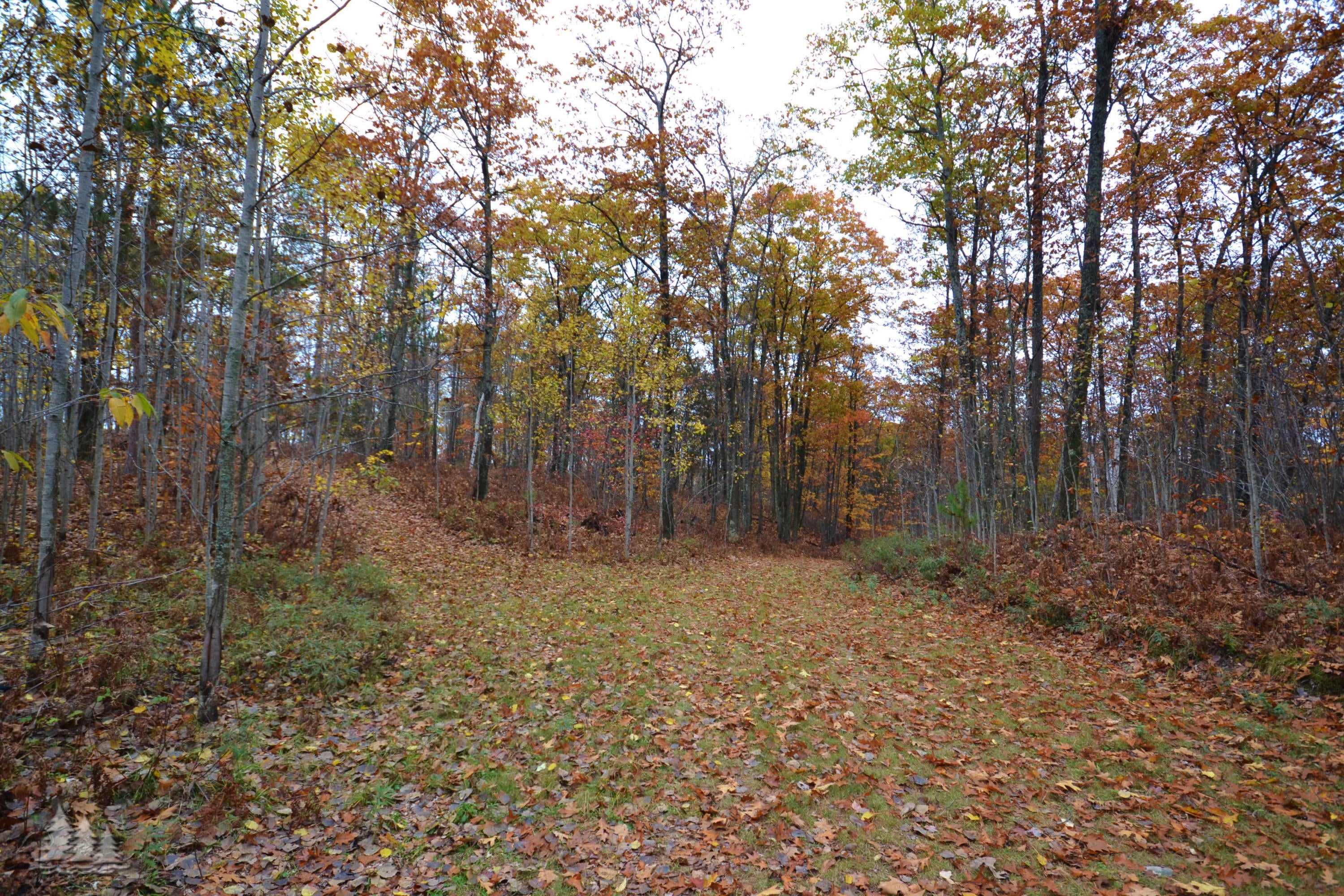 6001 Agren Road Lewiston, MI 49756 - Photo 1 of 22 Gallery Image 1