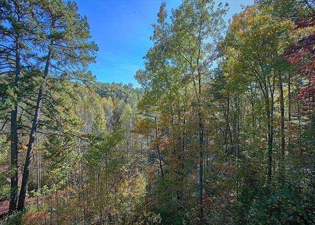 2223 Jared Road, Unit BEARSPLASH Sevierville, TN 37876 - Photo 25 of 32 Gallery Image 25