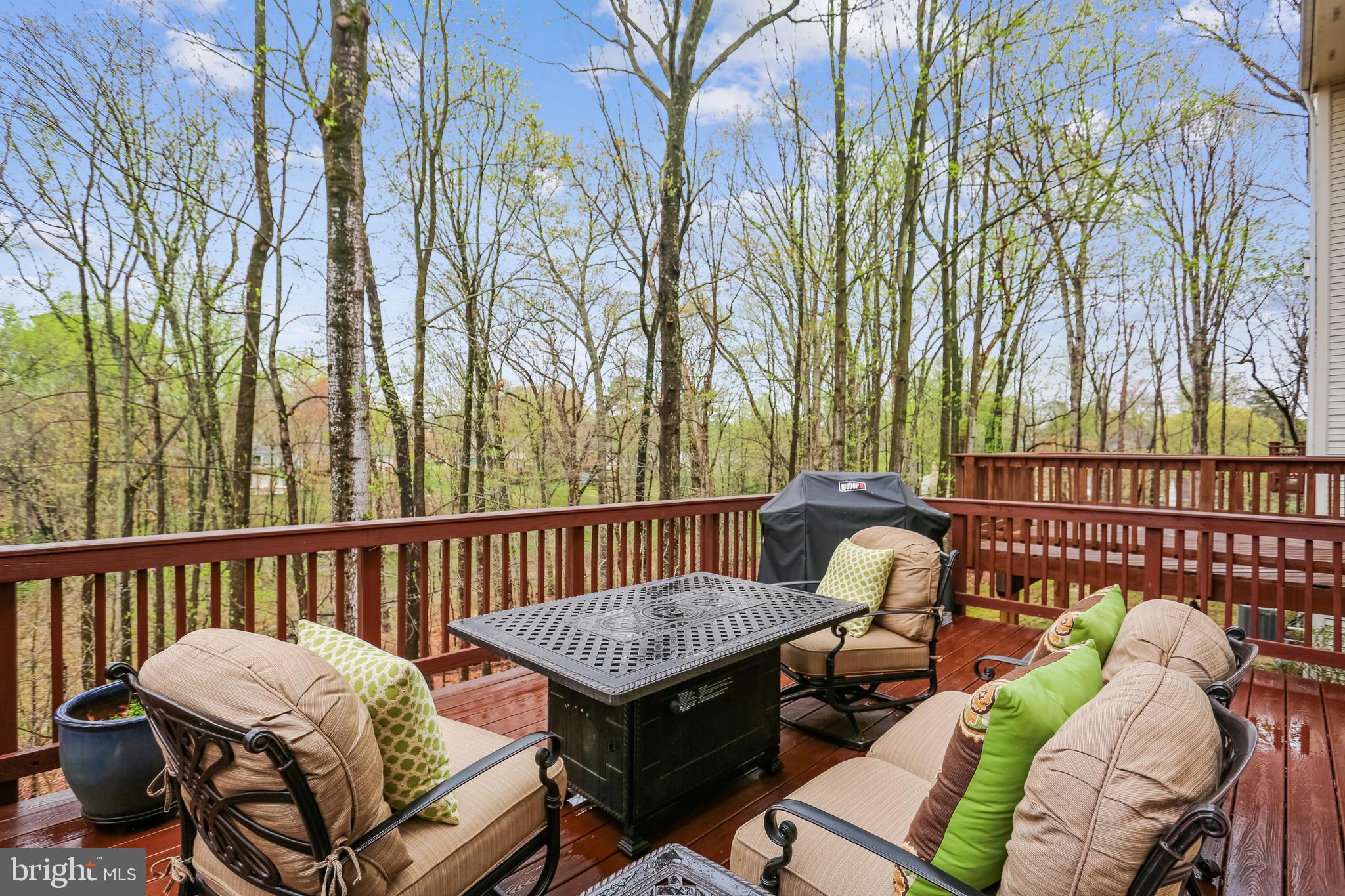 11434 Cedar Ridge Drive Potomac, MD 20854 - Photo 15 of 31