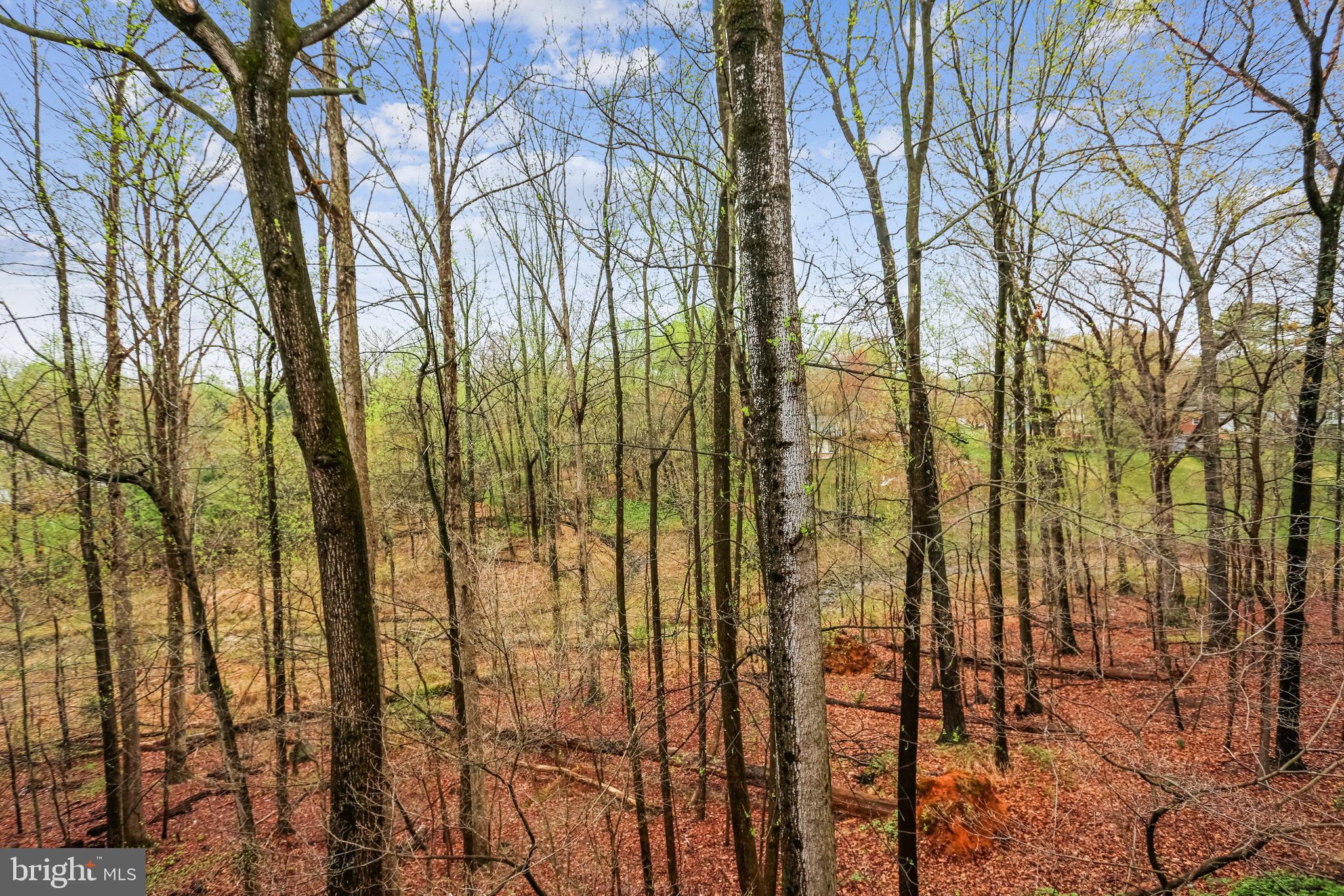 11434 Cedar Ridge Drive Potomac, MD 20854 - Photo 16 of 31