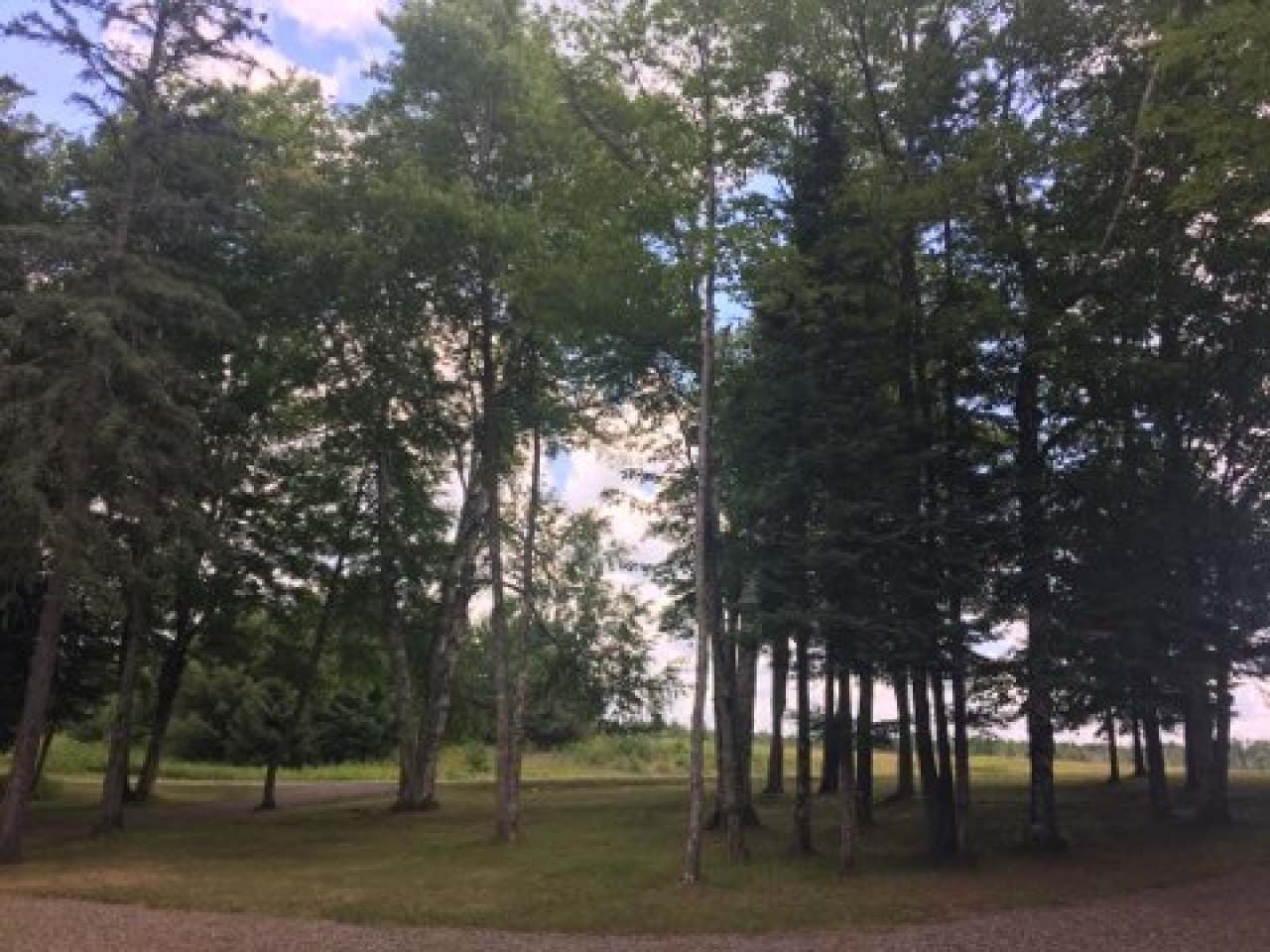 2034 Martha Lake Road Mercer, WI 54547 - Photo 20 of 23 Gallery Image 20