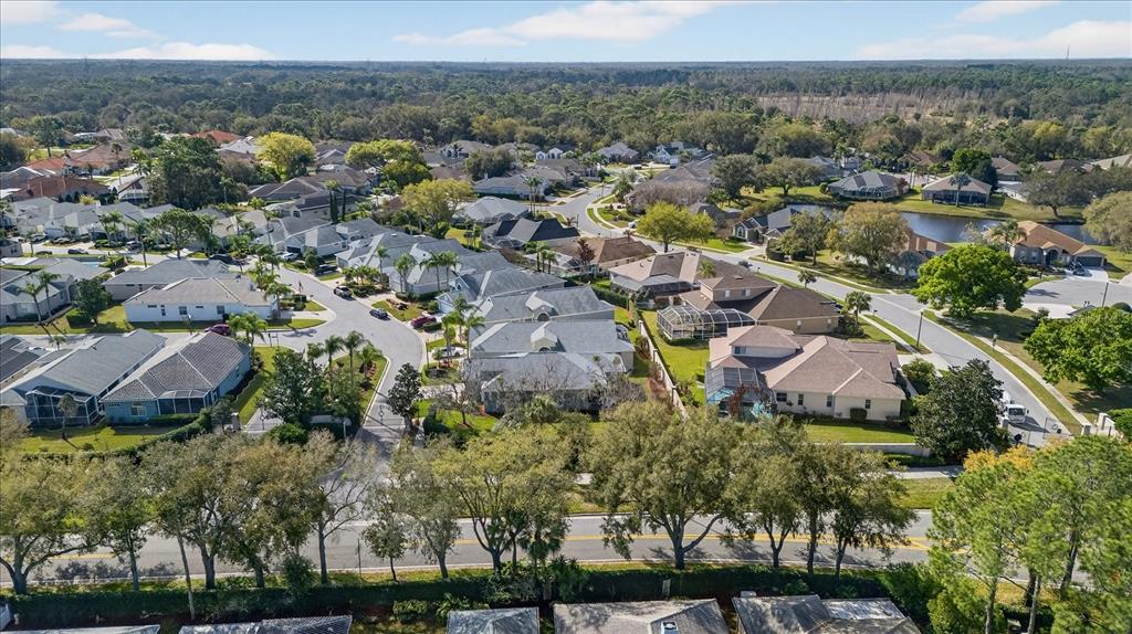 9212 Bonnington Drive Trinity, FL 34655 - Photo 41 of 49 Gallery Image 41
