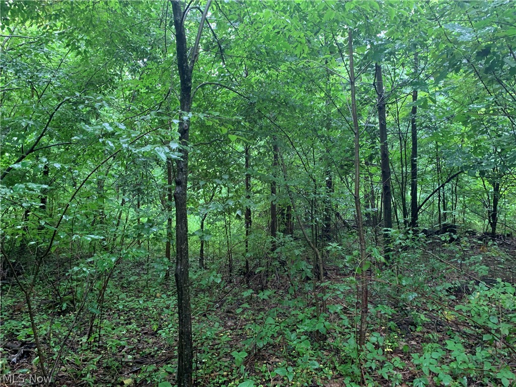 South Ridge Road Conneaut, OH 44030 - Photo 20 of 24