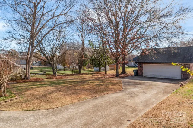a view of a yard with a large tree