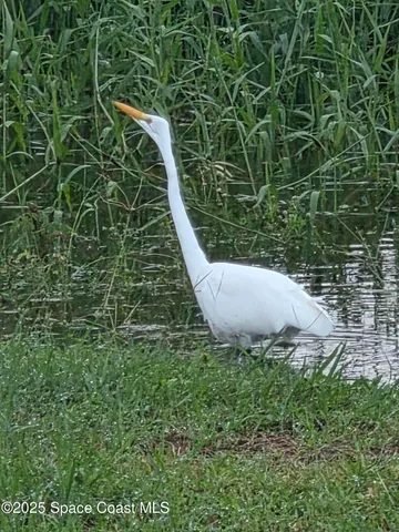 $385,000 | 290 Sorrento Drive, Cocoa, FL 32922