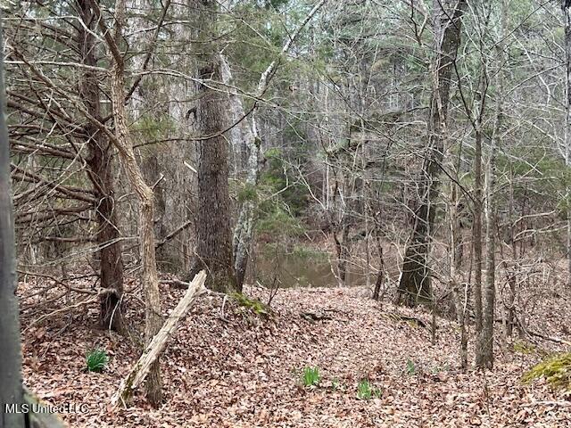 2696 Holbrook Road Ashland, MS 38603 - Photo 26 of 31 Pond