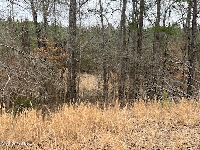 2696 Holbrook Road Ashland, MS 38603 - Photo 27 of 31 25