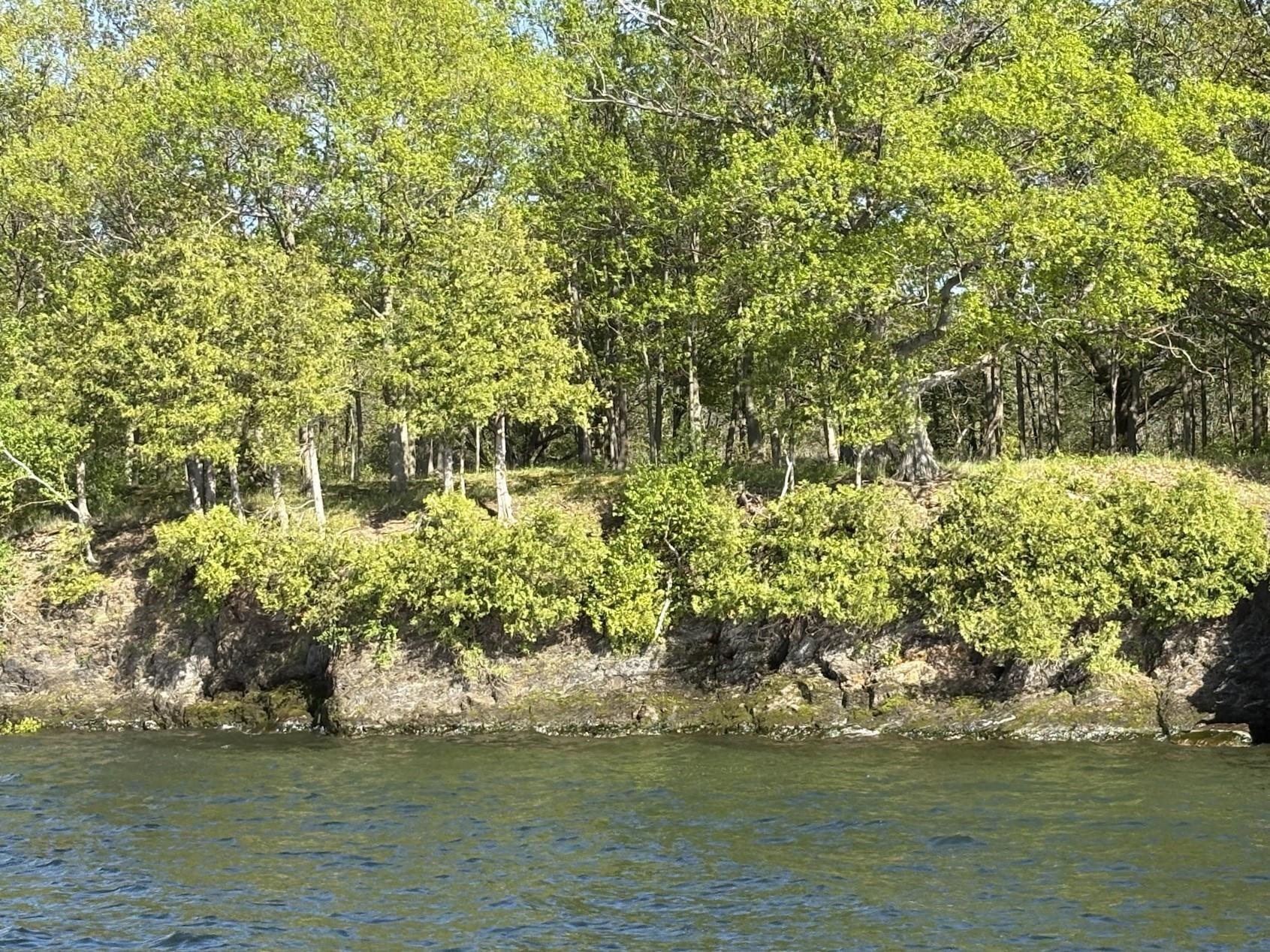 3625 Butler Island North Hero, VT 05474 - Photo 7 of 7