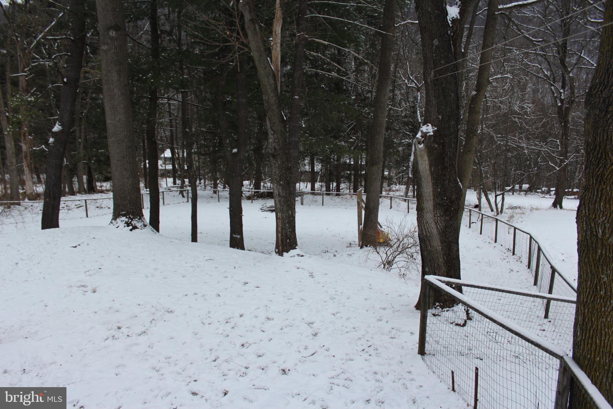 1839 Trevorton Road Coal Township, PA 17866 - Photo 5 of 26 Serene winter landscape blanketed in snow.