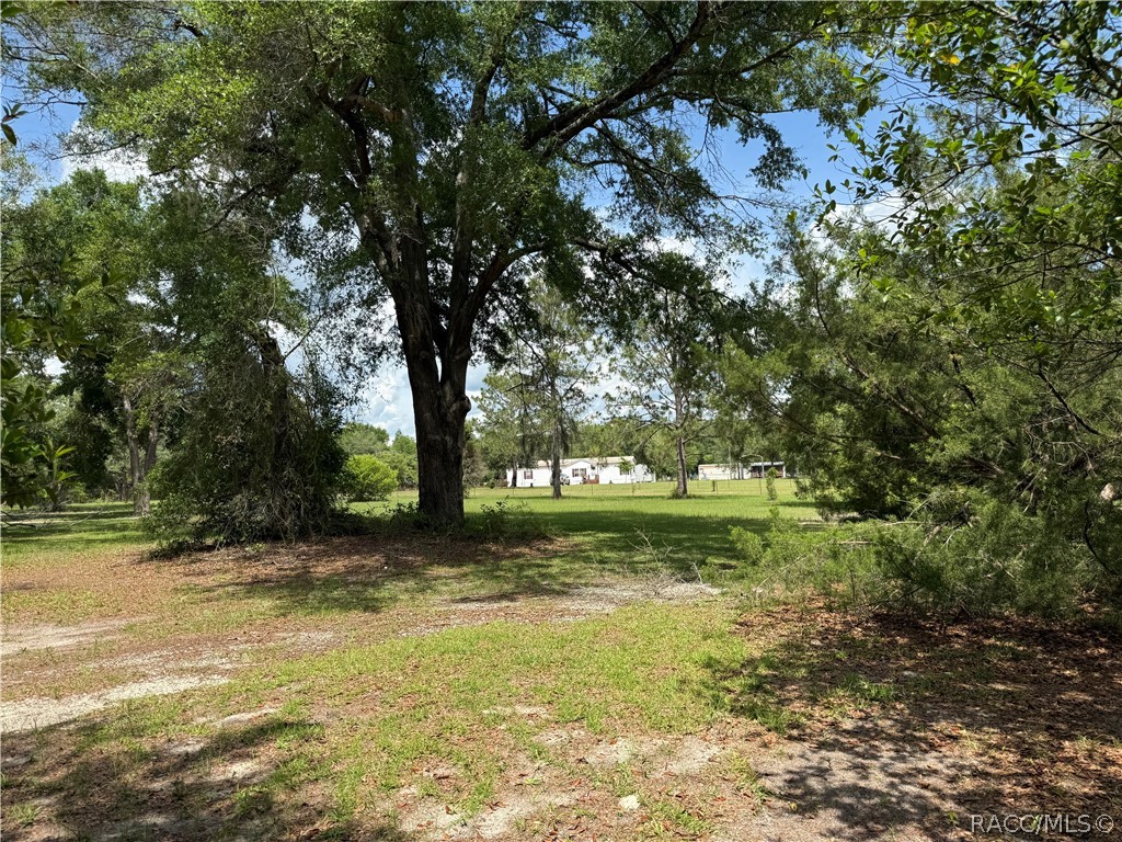 20275 33rd Road Wellborn, FL 32094 - Photo 38 of 57