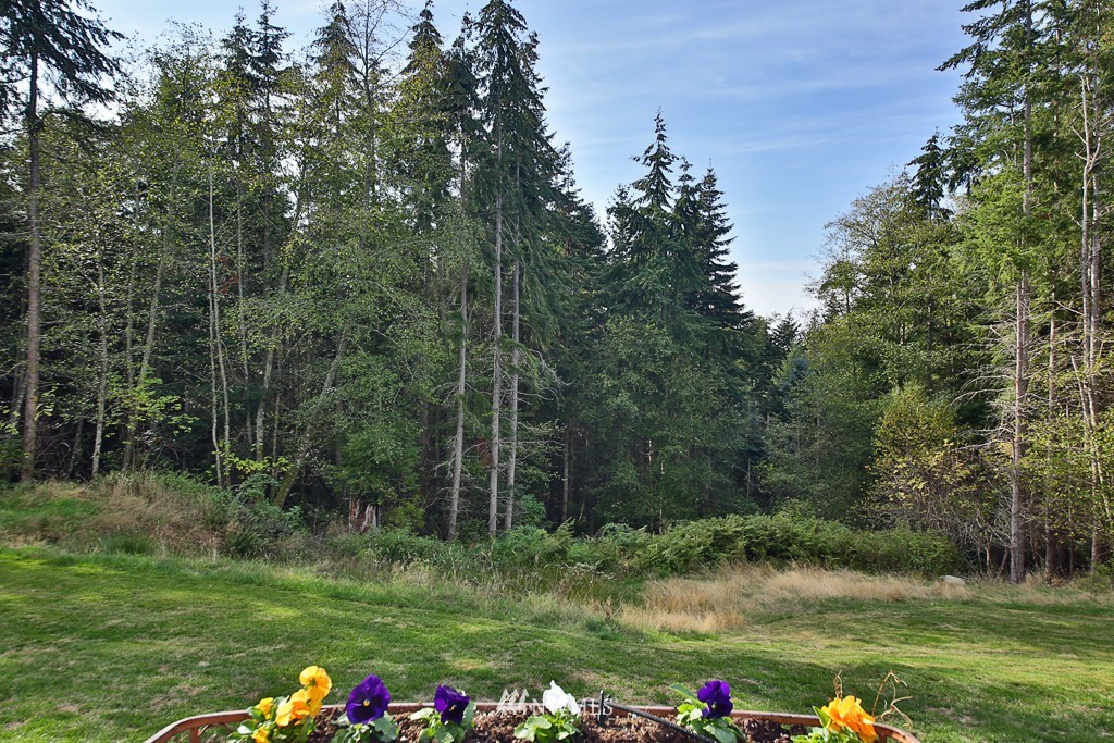 3252 Saratoga Road Langley, WA 98260 - Photo 22 of 25 Gallery Image 22