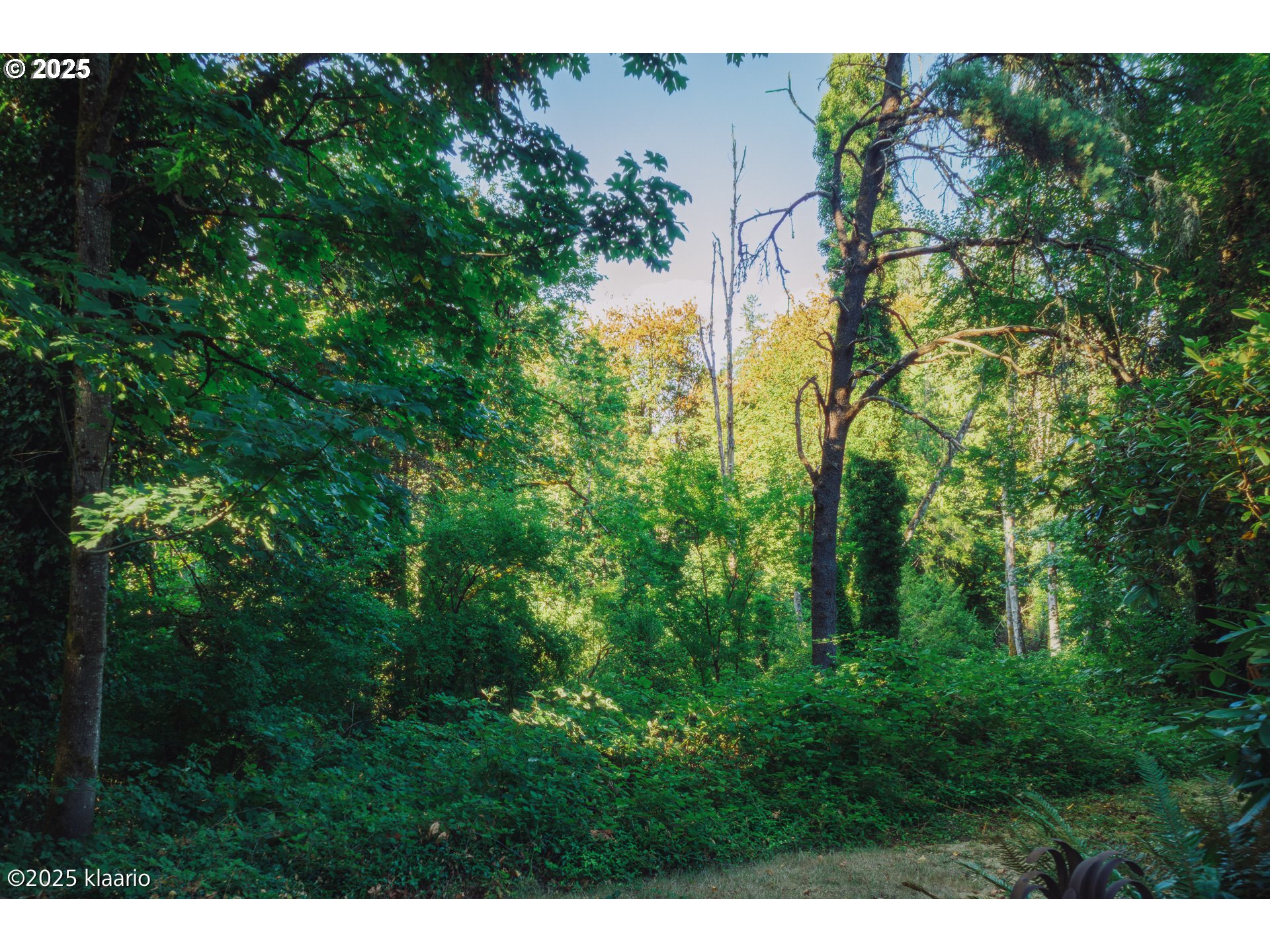 3691 Ridgewood Way West Linn, OR 97068 - Photo 23 of 34 a view of a garden