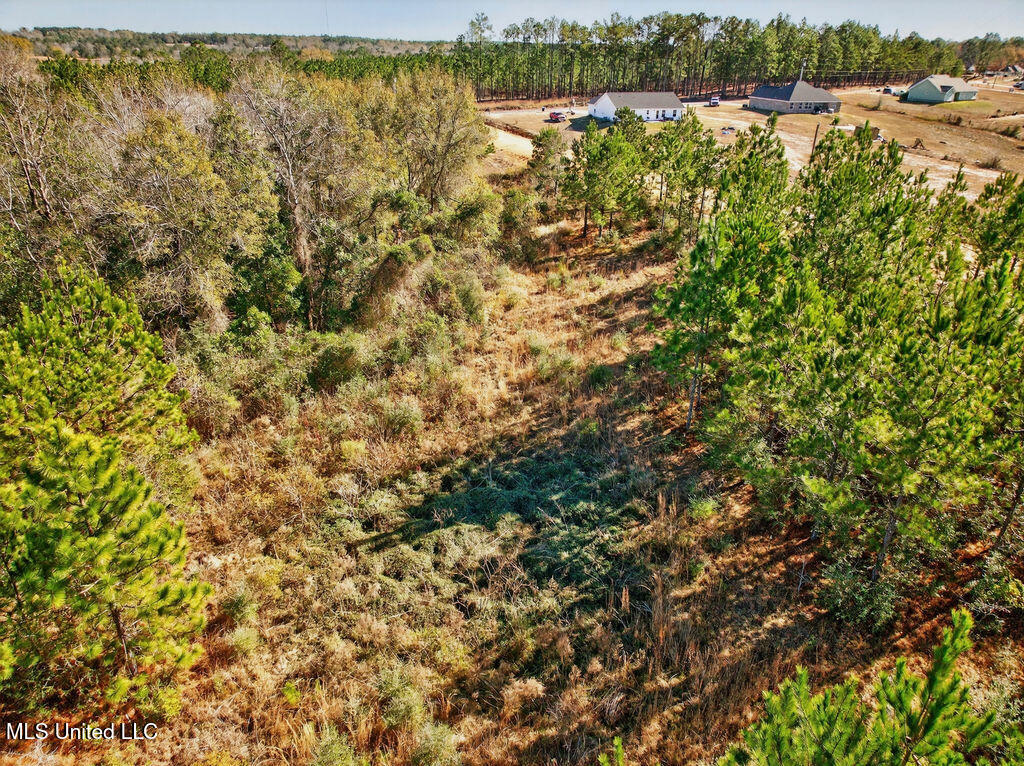 43 Parker Road Perkinston, MS 39573 - Photo 38 of 42 43ParkerRd-38