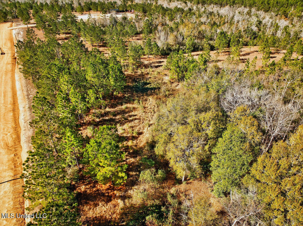 43 Parker Road Perkinston, MS 39573 - Photo 39 of 42 43ParkerRd-39