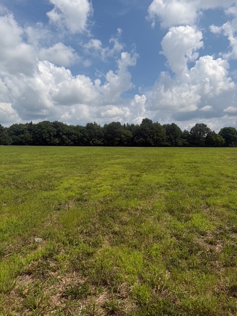 0 Friendship Road Cross Plains, TN 37049 - Photo 3 of 8