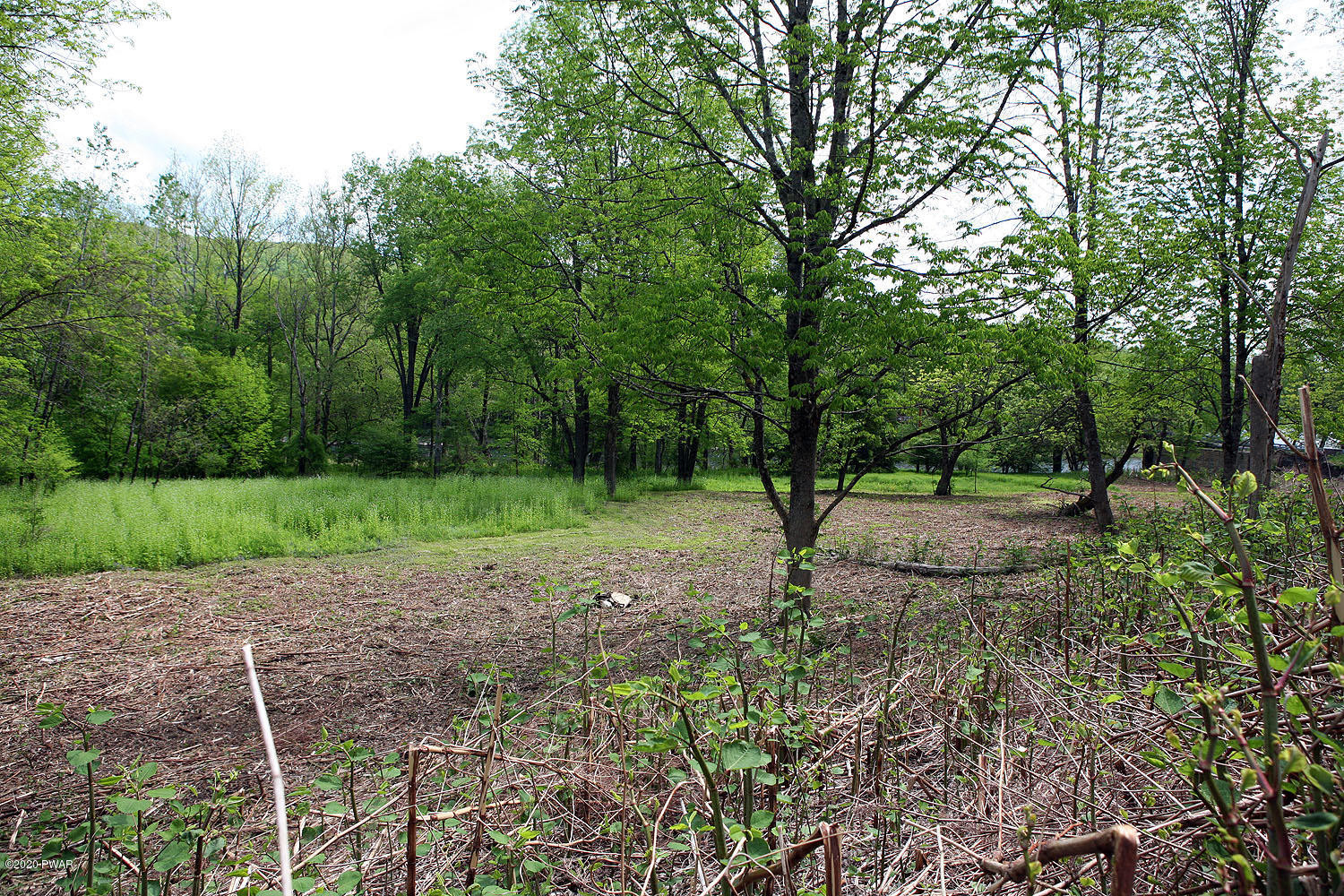 1126 Braman Road Equinunk, PA 18417 - Photo 19 of 21
