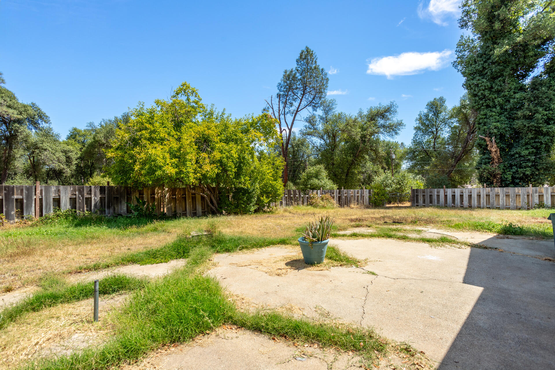 8415 Valley View Road Redding, CA 96001 - Photo 26 of 31 a view of a swimming pool and trees in the background