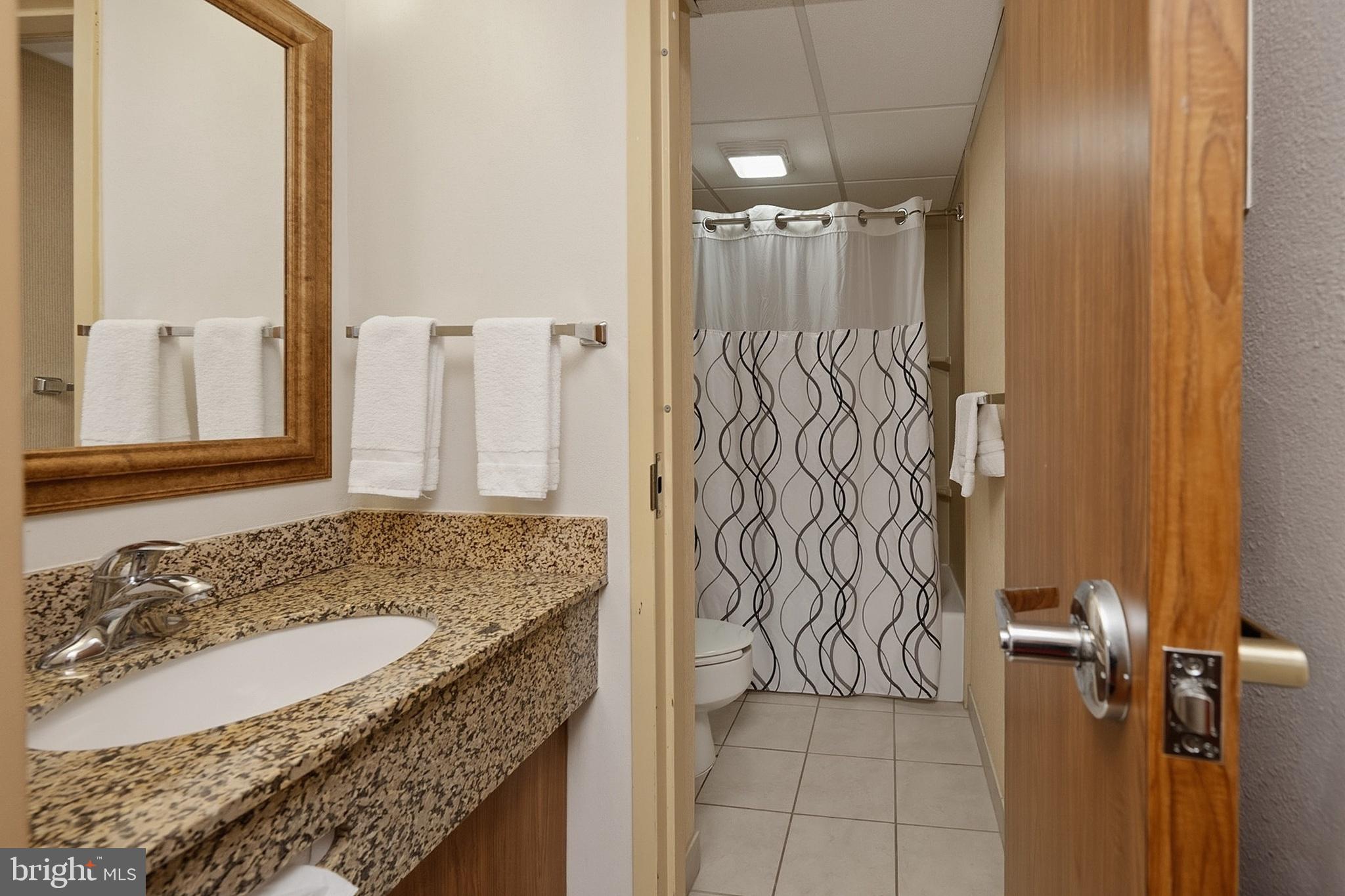 290 Marsh Hill Road, Unit 706 McHenry, MD 21541 - Photo 10 of 39