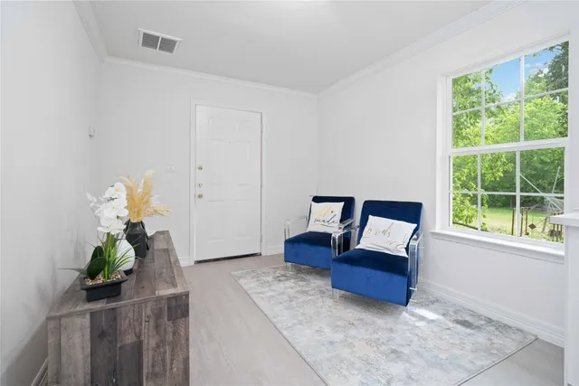 a living room with furniture and a potted plant