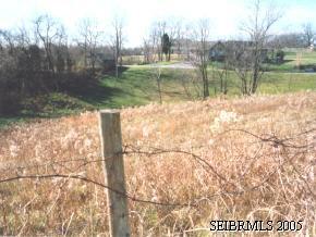 3433 Salem Ridge Road Rising Sun, IN 47040 - Photo 1 of 1