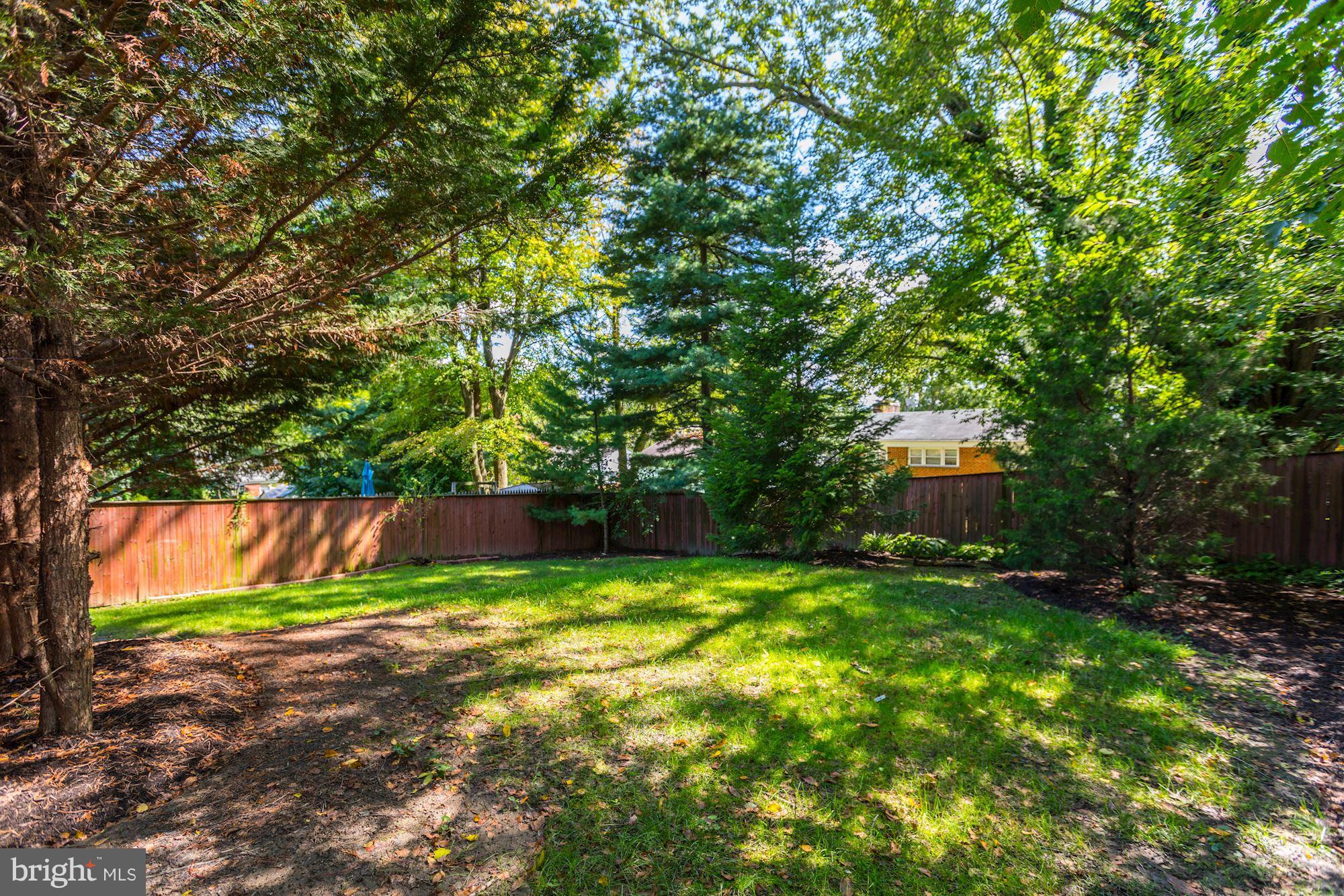 2606 Finch Street Silver Spring, MD 20902 - Photo 13 of 14 Large, shaded back yard