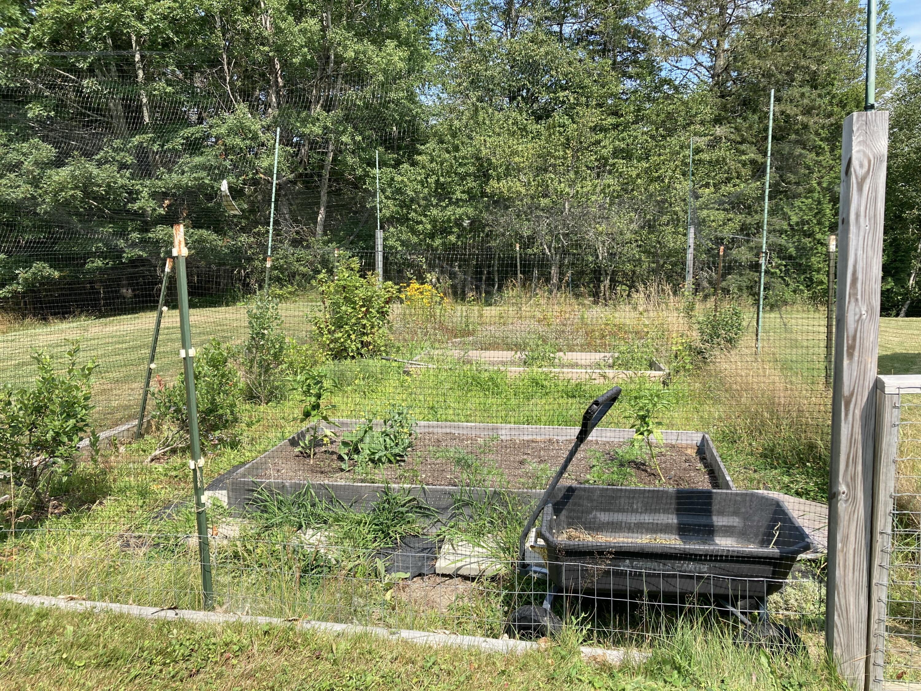 462 Kansas Road Milbridge, ME 04658 - Photo 32 of 63 Raised beds, fenced garden.