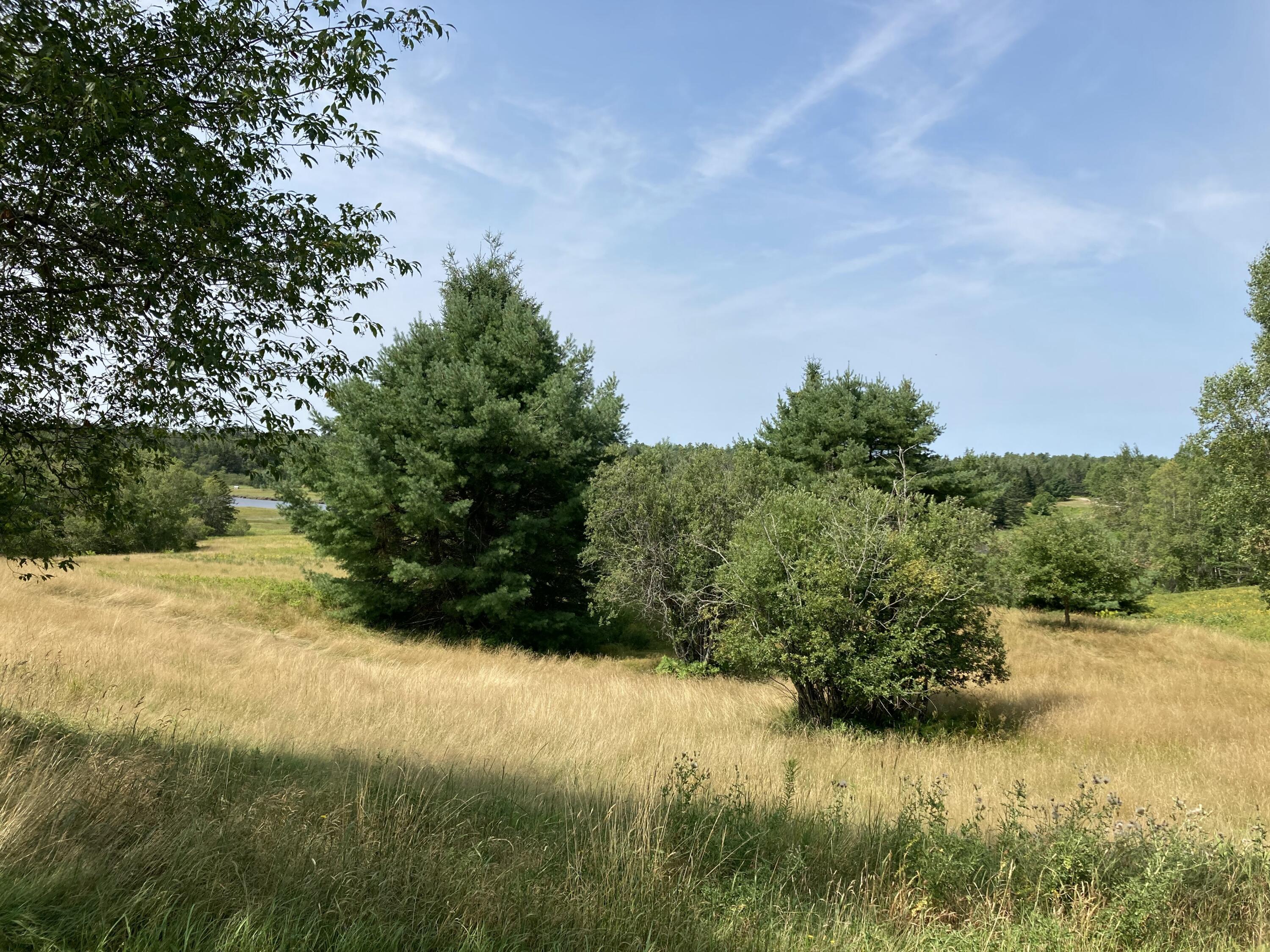462 Kansas Road Milbridge, ME 04658 - Photo 34 of 63 Field to river.