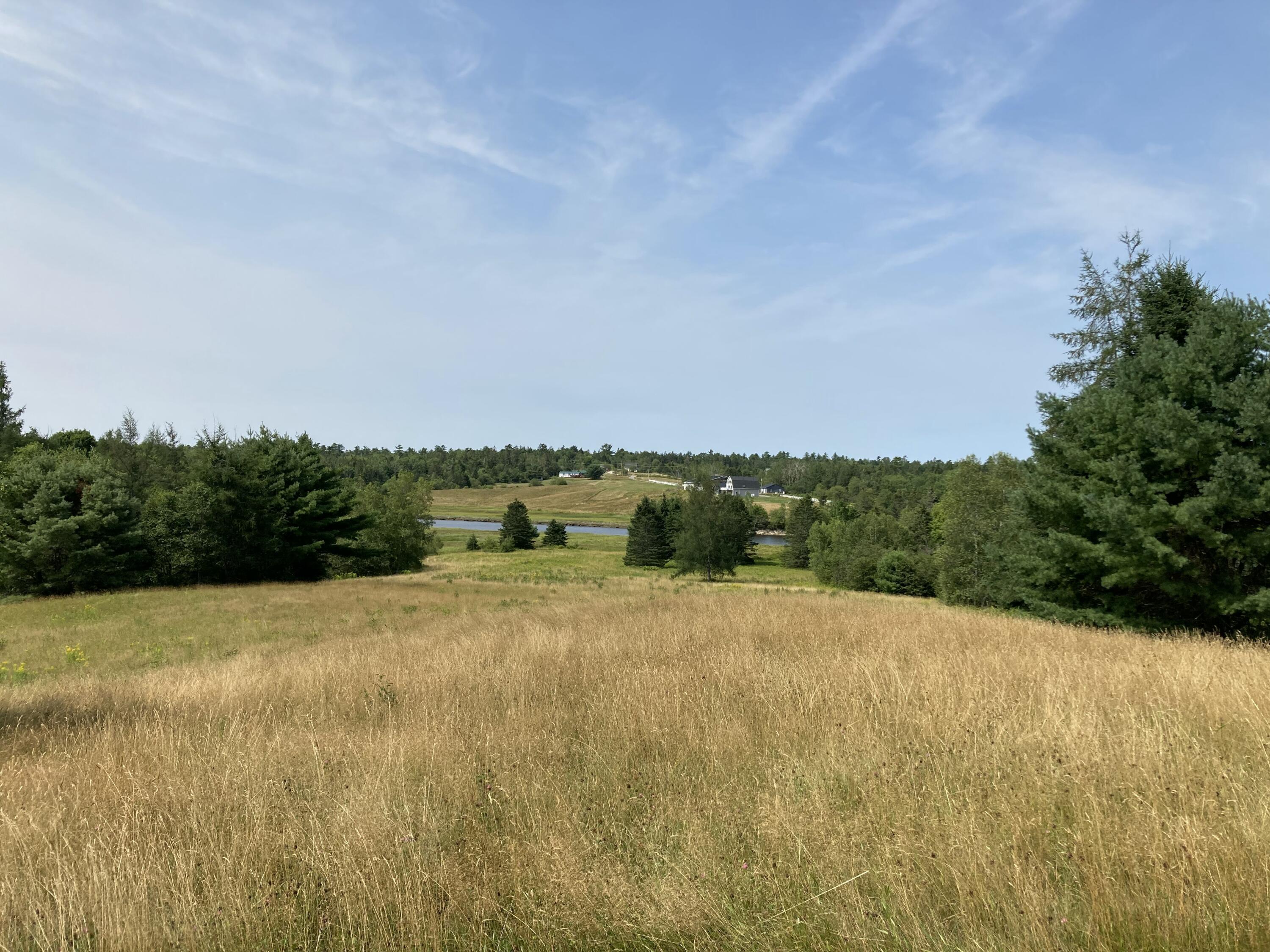 462 Kansas Road Milbridge, ME 04658 - Photo 4 of 63 View from back deck.