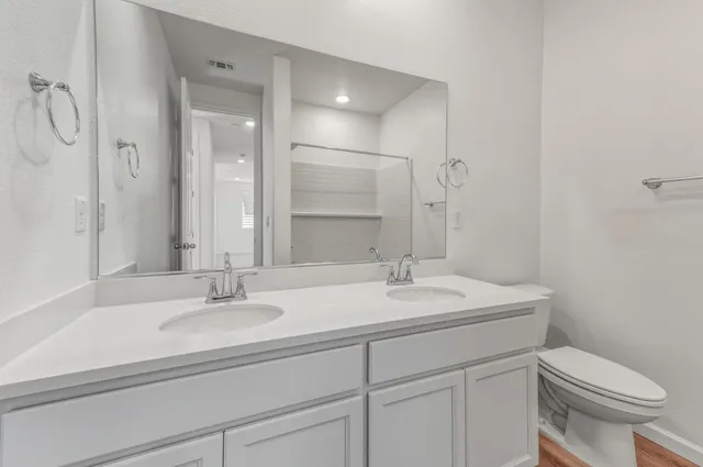 a bathroom with a sink a toilet and a mirror