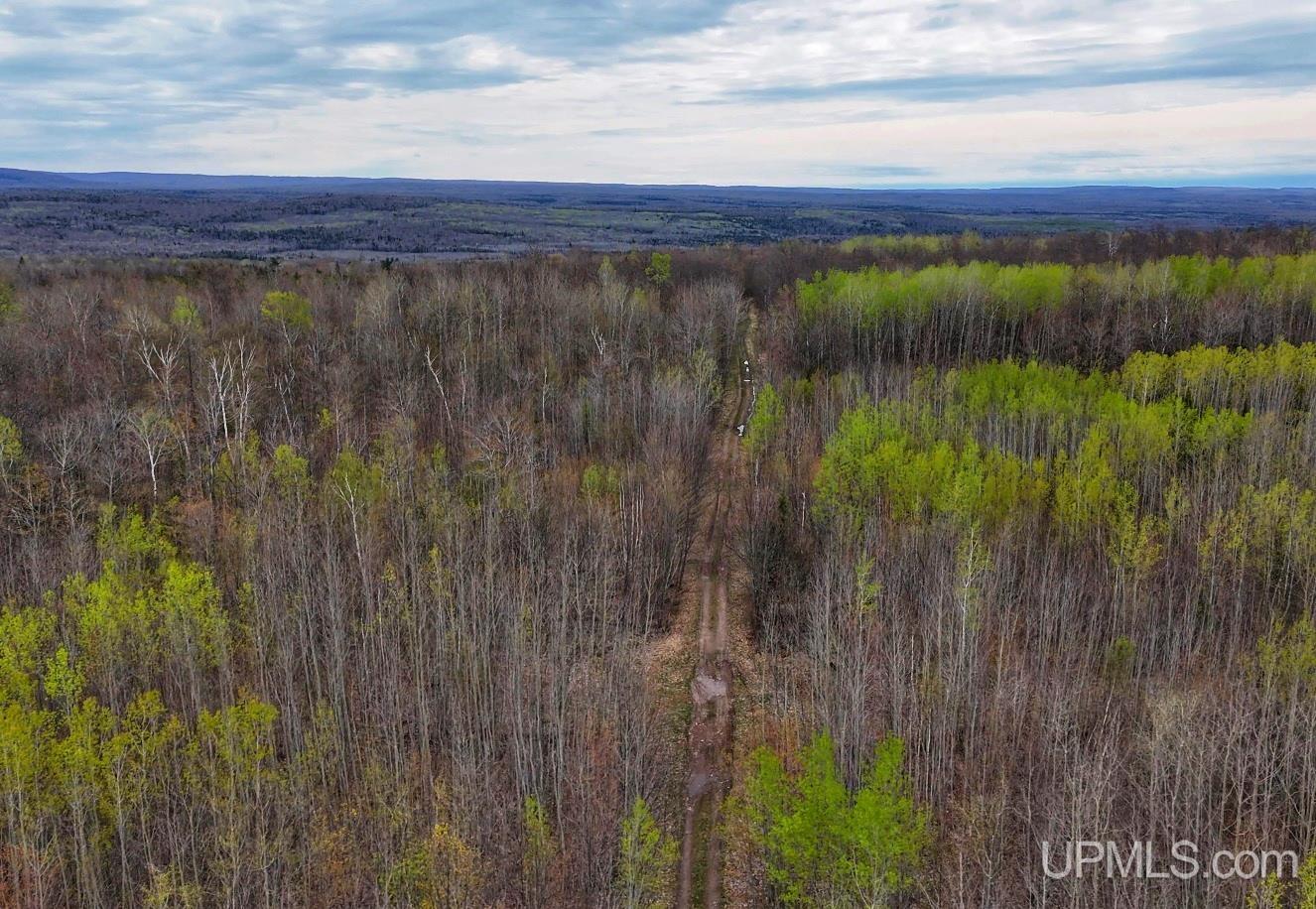 Tbdw Tbdw Off Townline Road Lanse, MI 49946 - Photo 11 of 17