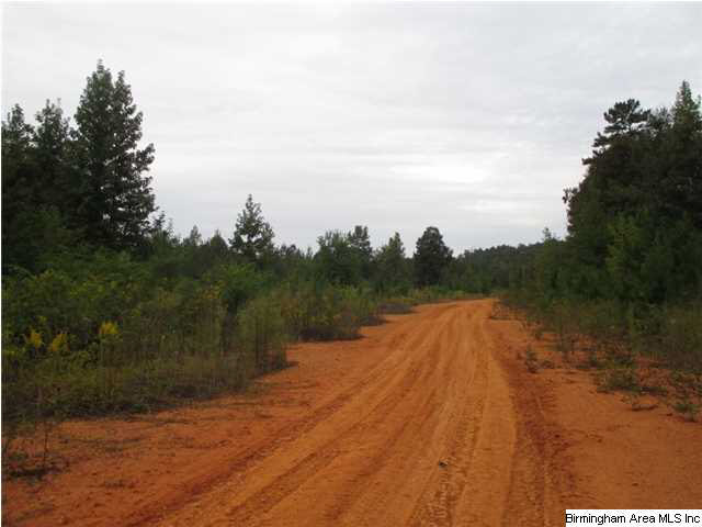 76 Morris Farms Drive Riverside, AL 35135 - Photo 3 of 6